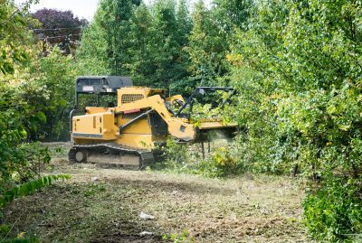 Forestry Clearing in Salt Lake City, UT