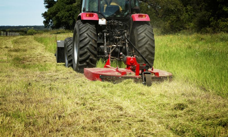 Underbrush Clearing in Utah County, UT
